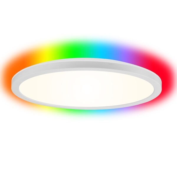 LED Ceiling Light